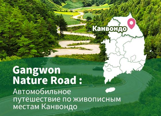 Gangwon Nature Road: Автомобильное путешествие по живописным местам Канвондо