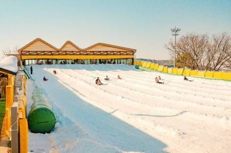 慶州世界雪上樂園雪橇場