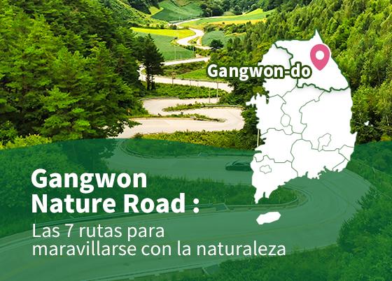 Gangwon Nature Road: Las 7 rutas para maravillarse con la naturaleza