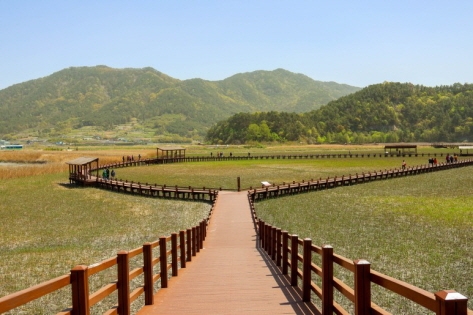 Humedal de la Bahía de Suncheonman, ideal para caminar (cortesía de Danim 7th, Kim Deok-sik (izquierda); Cortesía de IR Studio, Galería de la Organización de Turismo de Corea)
