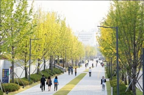 白杨路