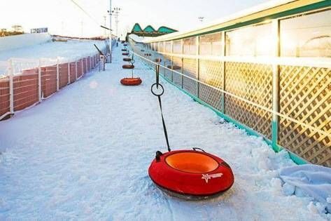 慶州世界雪上樂園雪橇場
