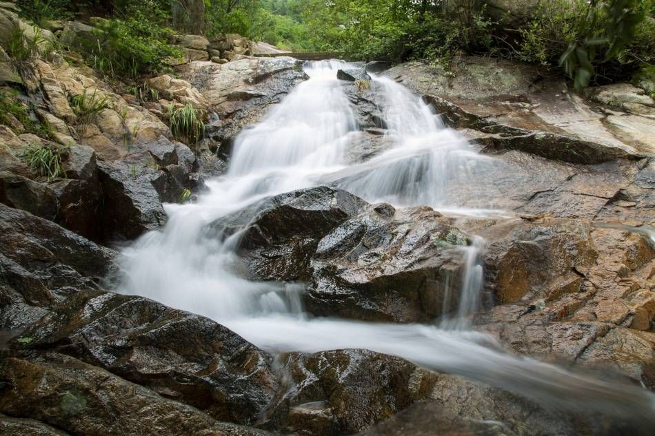 清溪山夏日風景，潺潺流過的清澈溪水