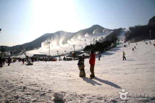 芝山森林渡假村滑雪場