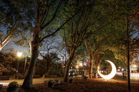 官防堤林秋季紅葉與夜景