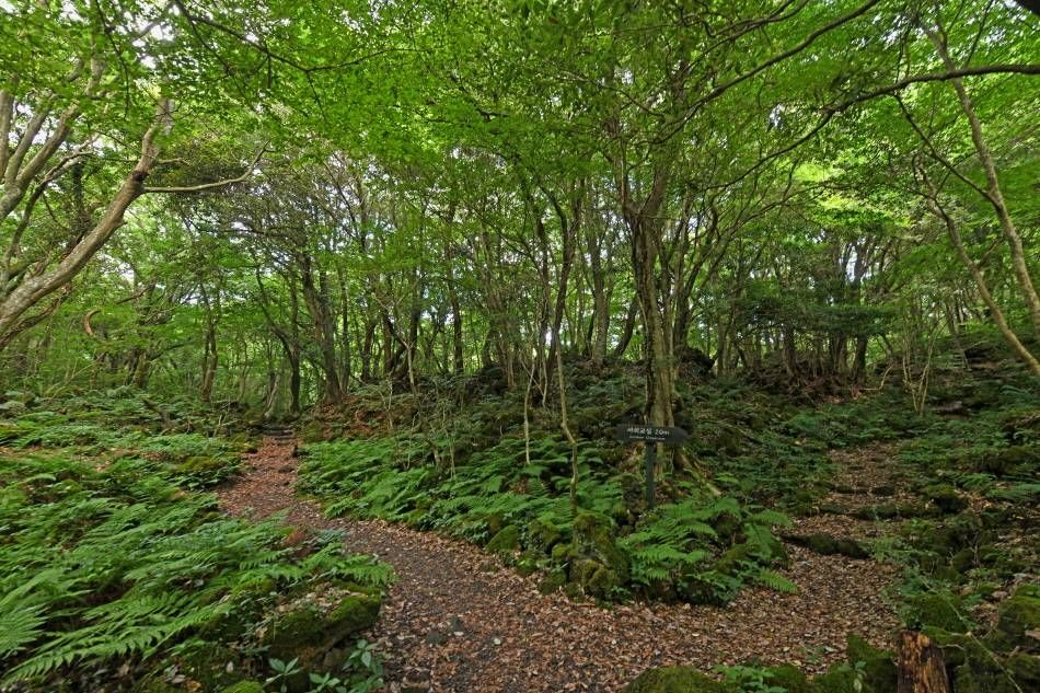 7 площадок для занятий на свежем воздухе, оборудованных на тропе для наблюдения за экосистемой