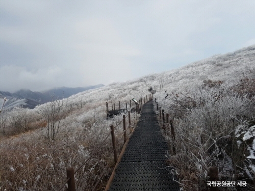 小白山國立公園