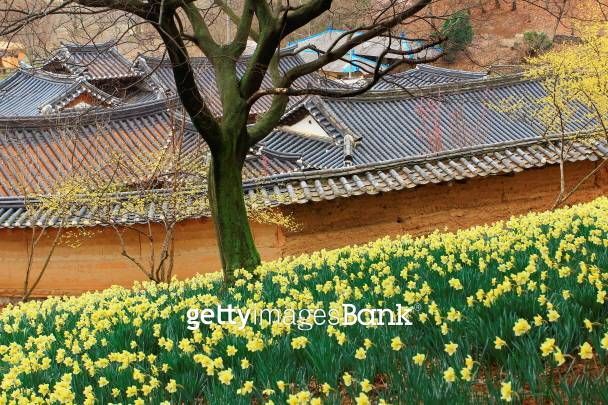 House of Yu Gibang in Seosan 