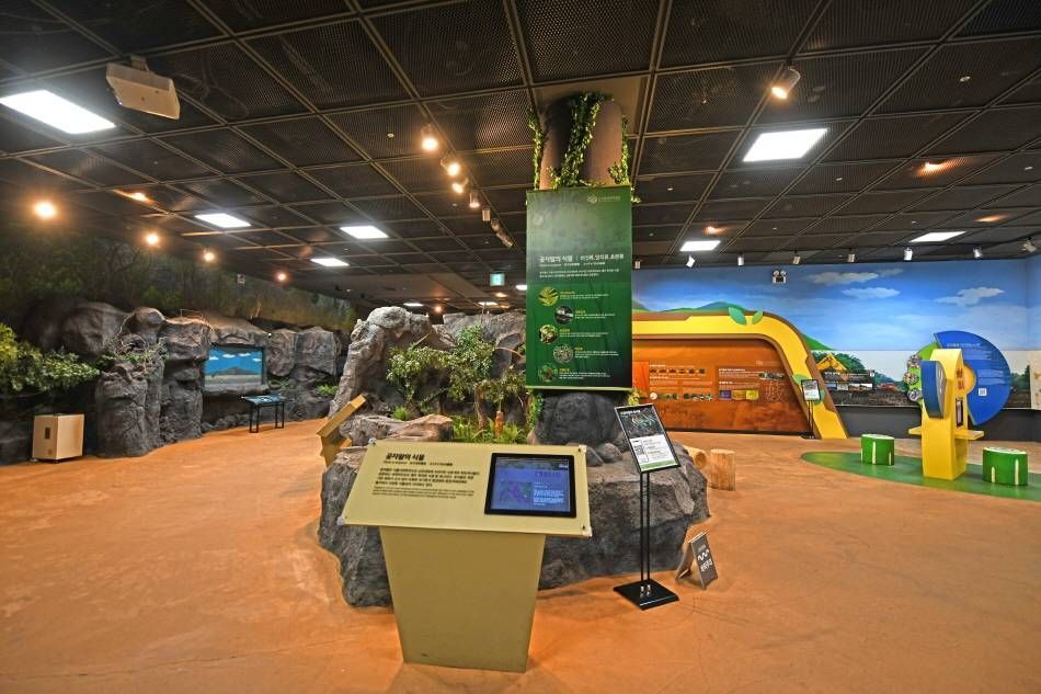 Внутри выставочного зала Эколого-познавательного музея Котчаваль