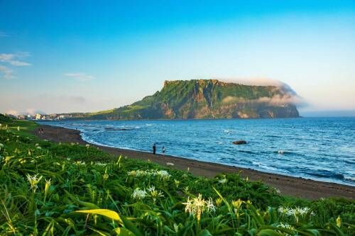 虎川村