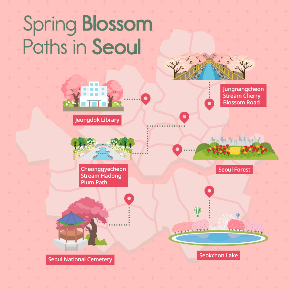 Spring Blossom Paths in Seoul 
