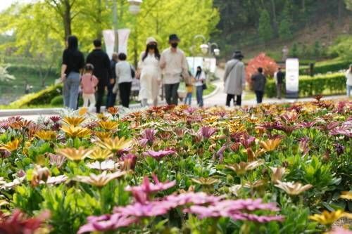 青南台春の花祭り迎春祭（
