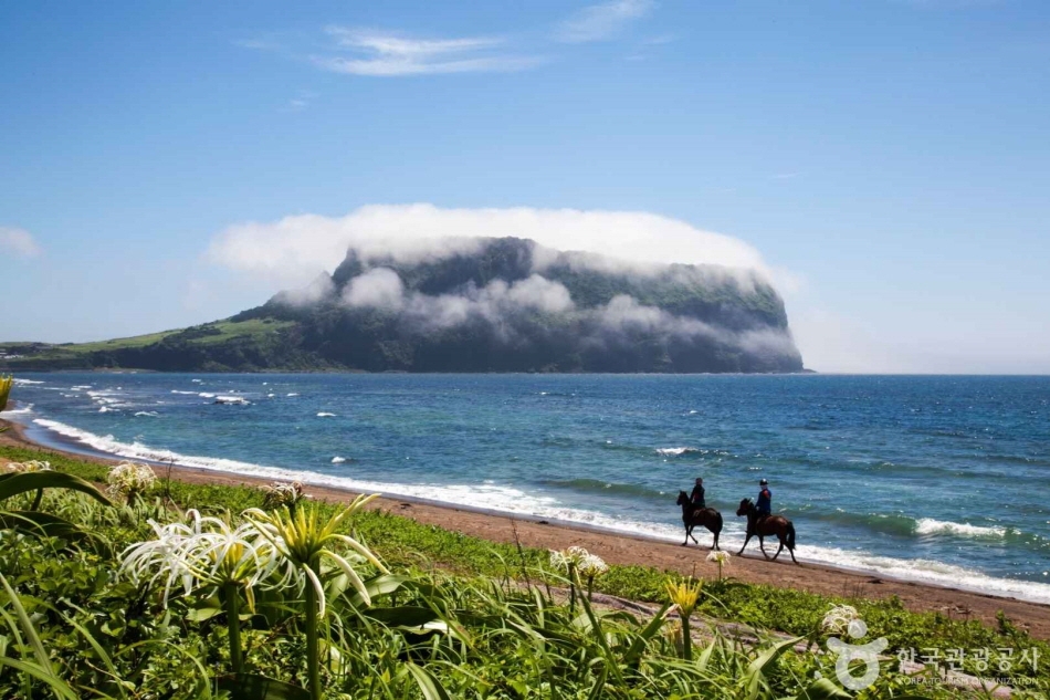ハマユウ咲く海辺から眺める城山日出峰（撮影：ワン・ヨンサン氏（2018大韓民国観光写真公募展入選作））