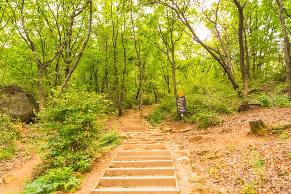 Le mont Cheyonggyesan est constitué de nombreux escaliers, mais ils sont bien entretenus et faciles à monter. 