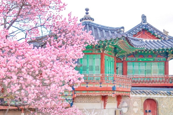 Flores de ciruelo rojo en el pabellón Nakseonjae del palacio Changdeokgung (cortesía de Danim 6th de la KTO, Park Jeonghye)