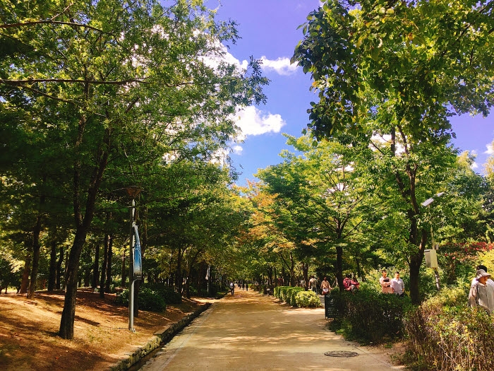 Seoul Forest