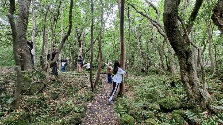 Программа &laquo;Сквозь лес Котчаваль&raquo;, позволяющая ощутить лес всеми пятью чувствами ⓒ Природный рекреационный лес Кёрэ