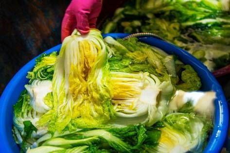 C&oacute;mo prepararlo