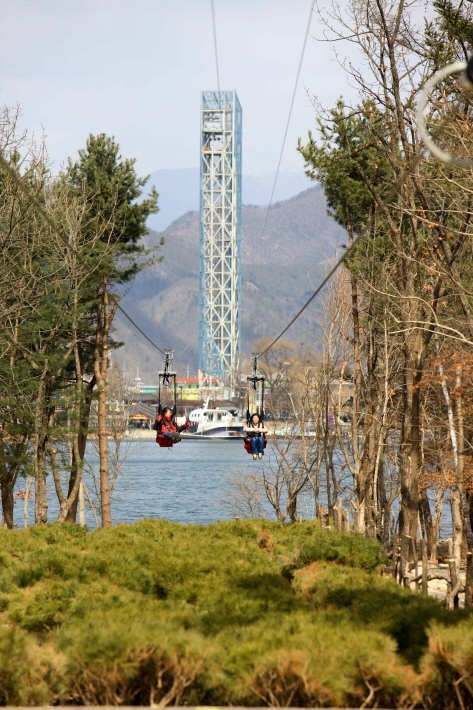 Zip wire on Nami Island (Credit: Korea Tourism Organization – Photo Korea, Kim Ji-ho) 