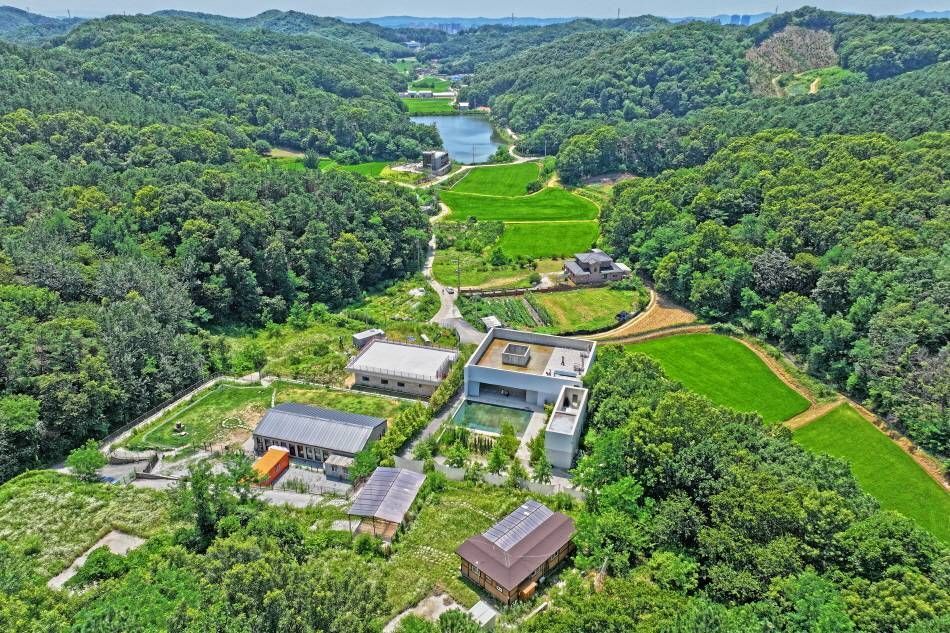 Панорамный вид Trivium