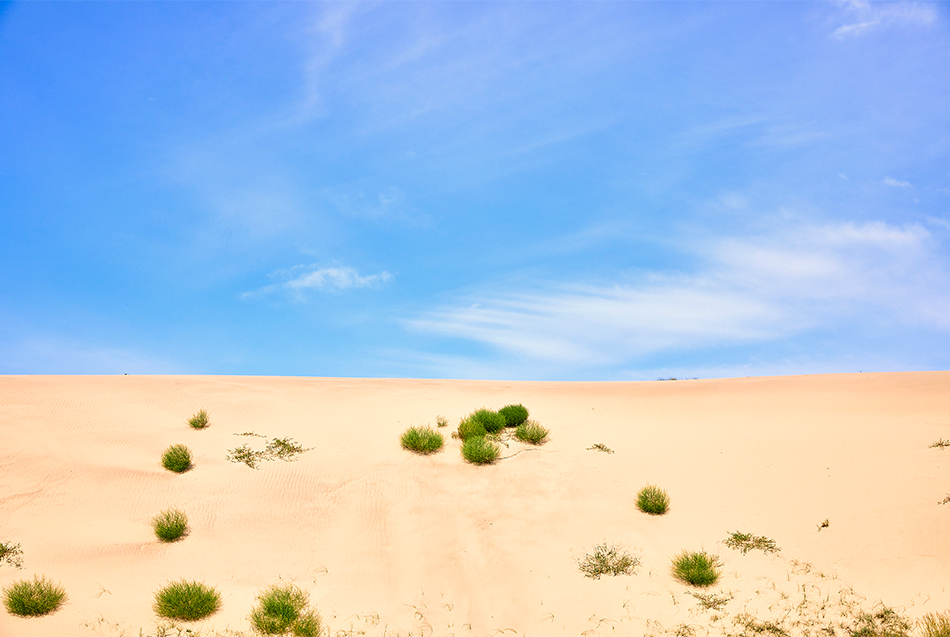 Sindu-ri Coastal Sand Dune