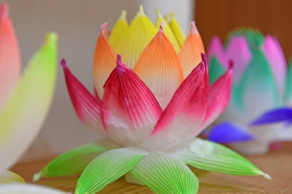 Лотосовые фонари