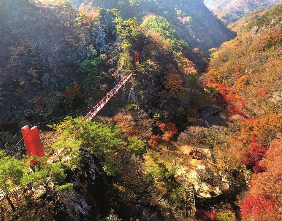 :"剛泉山郡立公園にある吊橋　　"