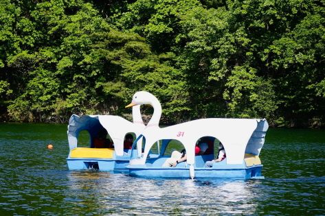 Duck boat rides at Nami Water Park 