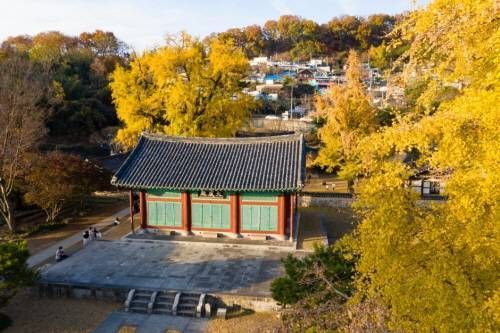 全州郷校