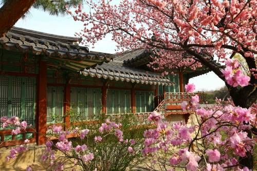 seoul