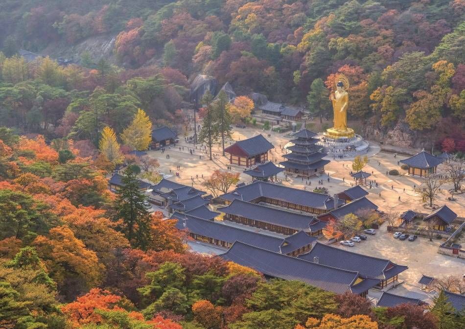 紅葉で色付く法住寺