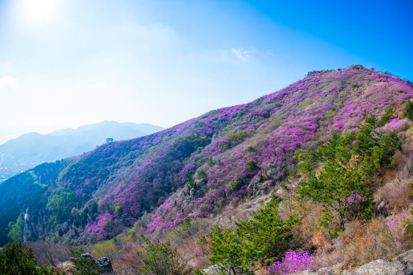 Berg Yeongchwisan