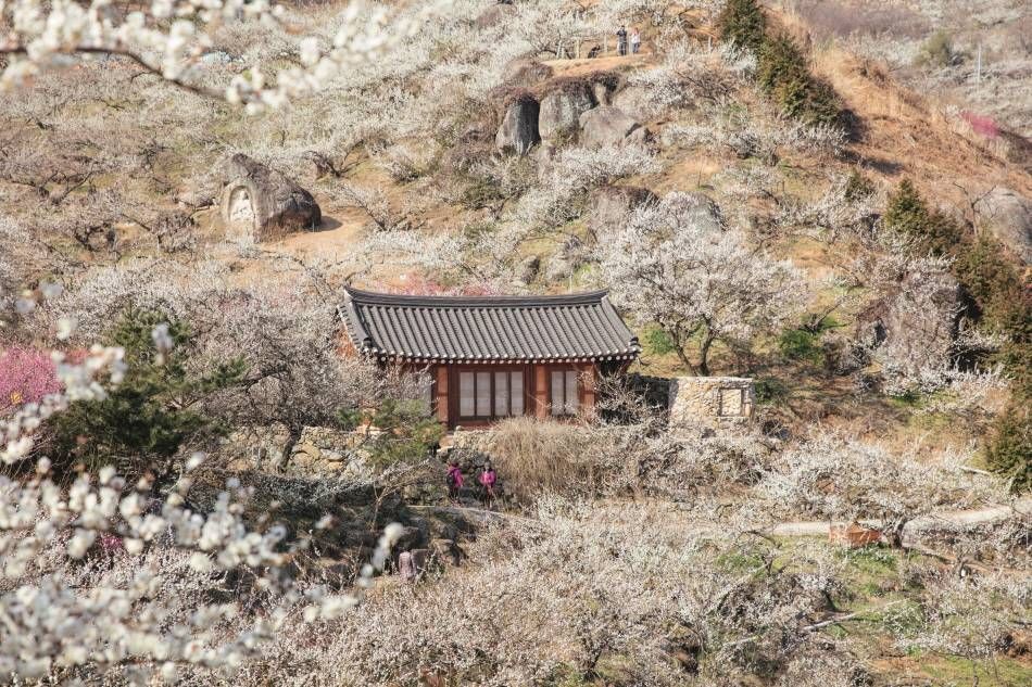 竹林の風景が美しい竹緑苑