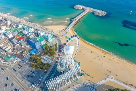 Sokcho Eye, a large Ferris wheel