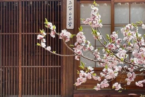 seoul