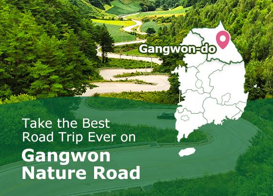 Take the Best Road Trip Ever on, Gangwon Nature Road
