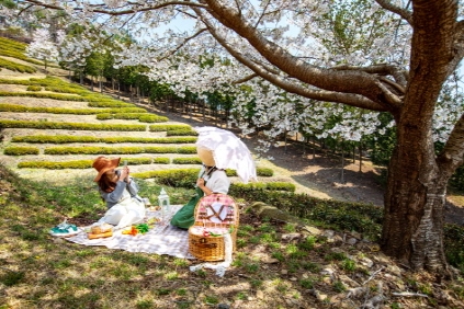 Pícnic en el campo de té verde (cortesía de Farmpartia)