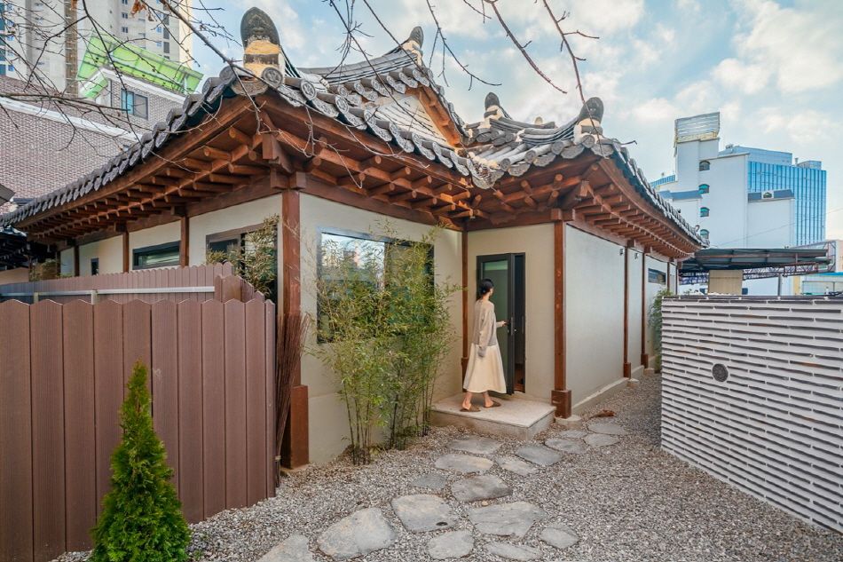Hanyuljae’s Back Yard