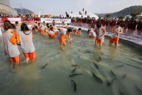 Pyeongchang Trout Festival