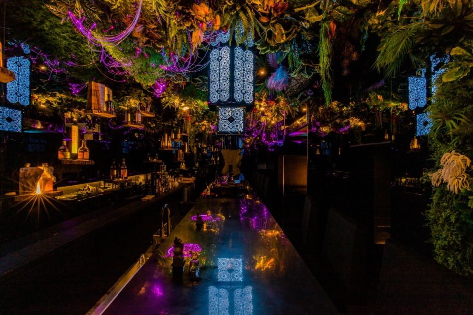 The ground floor is splendidly decorated with plants and lights (Credit: Zoosindang).