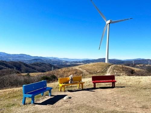 Pyeongchang
