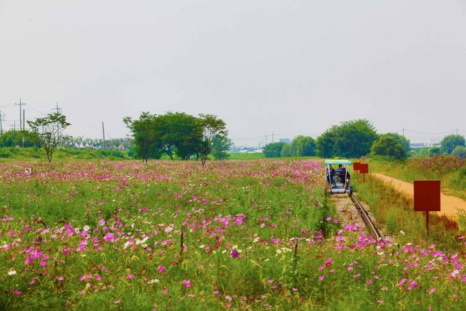 Рекреационная зона у ручья Чинвичхон ⓒ PHOTO KOREA Национальной организации туризма Кореи, IR Studio