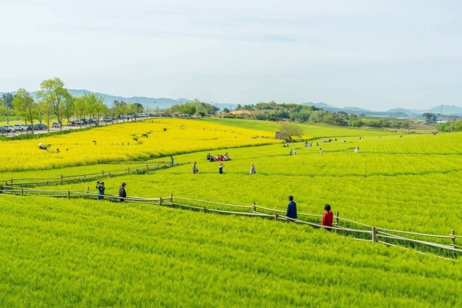 Ферма Поринара Хагвон ⓒ KTO 9suk9suk