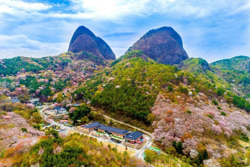 春が訪れ花々で満開の馬耳山
