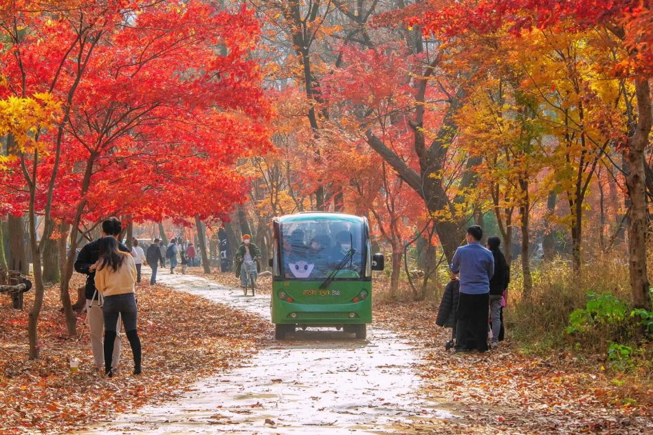 A Story Tour Bus on Nami Island