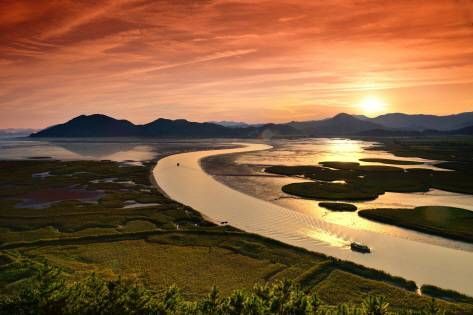 夕暮れ時の順天湾湿地
