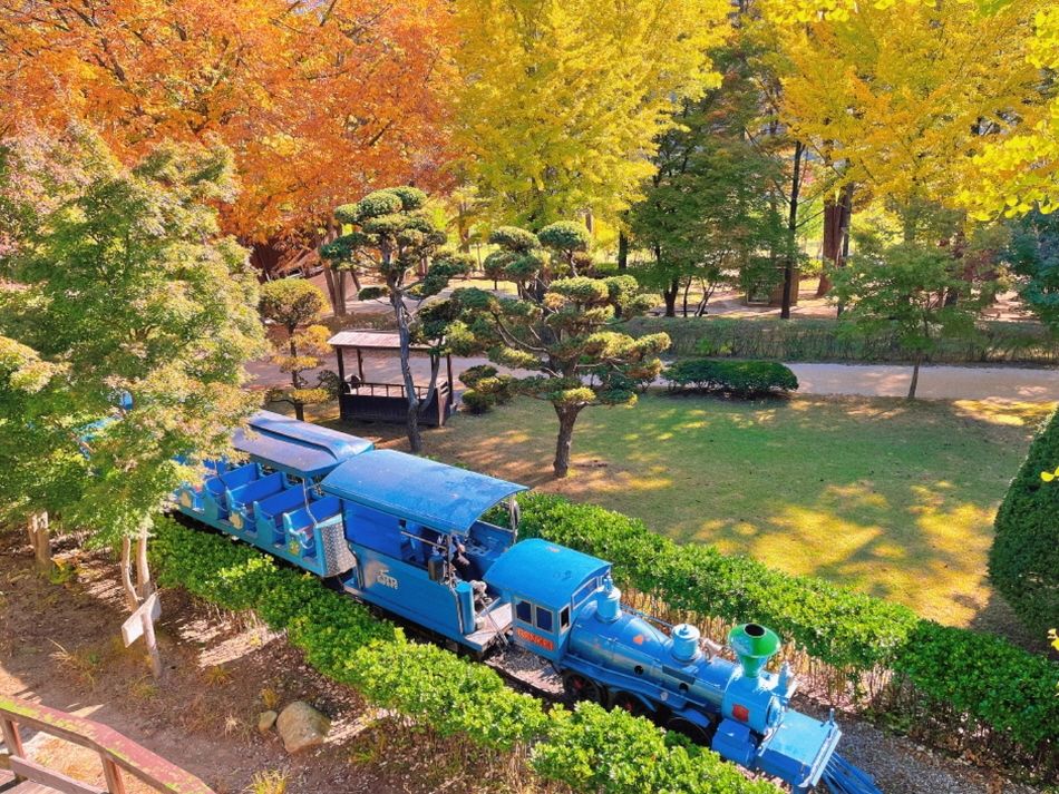 An aerial view of the Nami Island UNICEF Charity Train 