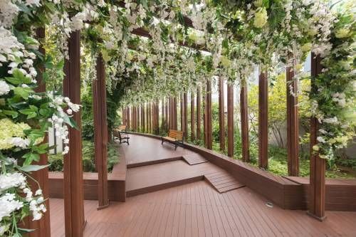 aaa