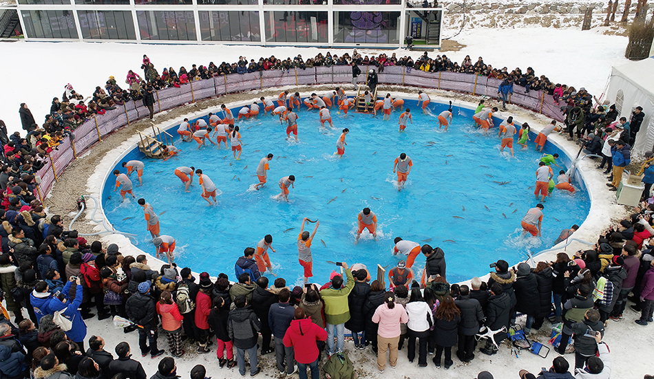 Pyeongchang Trout Festival (Credit: Pyeongchang Trout Festival Committee)