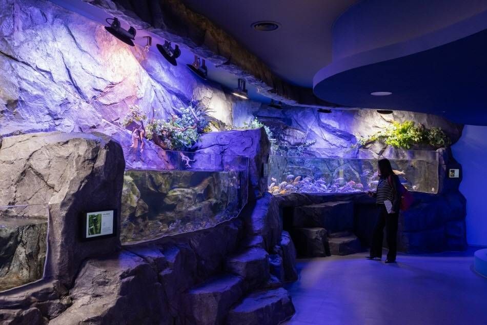 Аквариум в Научном музее воды Чоннамчжин ⓒ kto9suk9suk